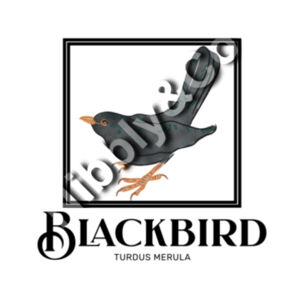 Black bird - Coaster - Square Hardboard Design